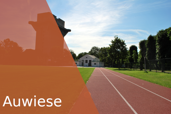 Auwiese