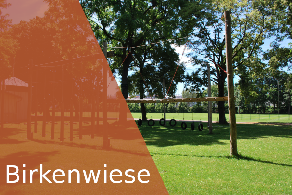 Birkenwiese